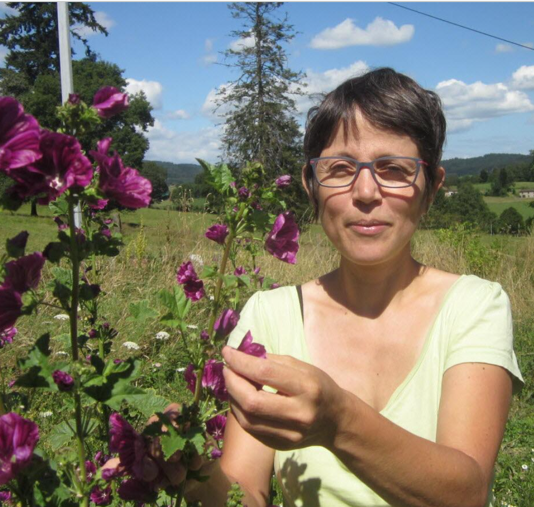 LES JARDINS DE LA FORTUNE – Tisanes